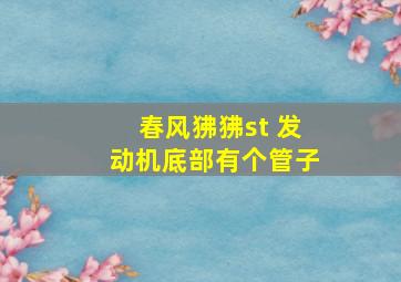 春风狒狒st 发动机底部有个管子